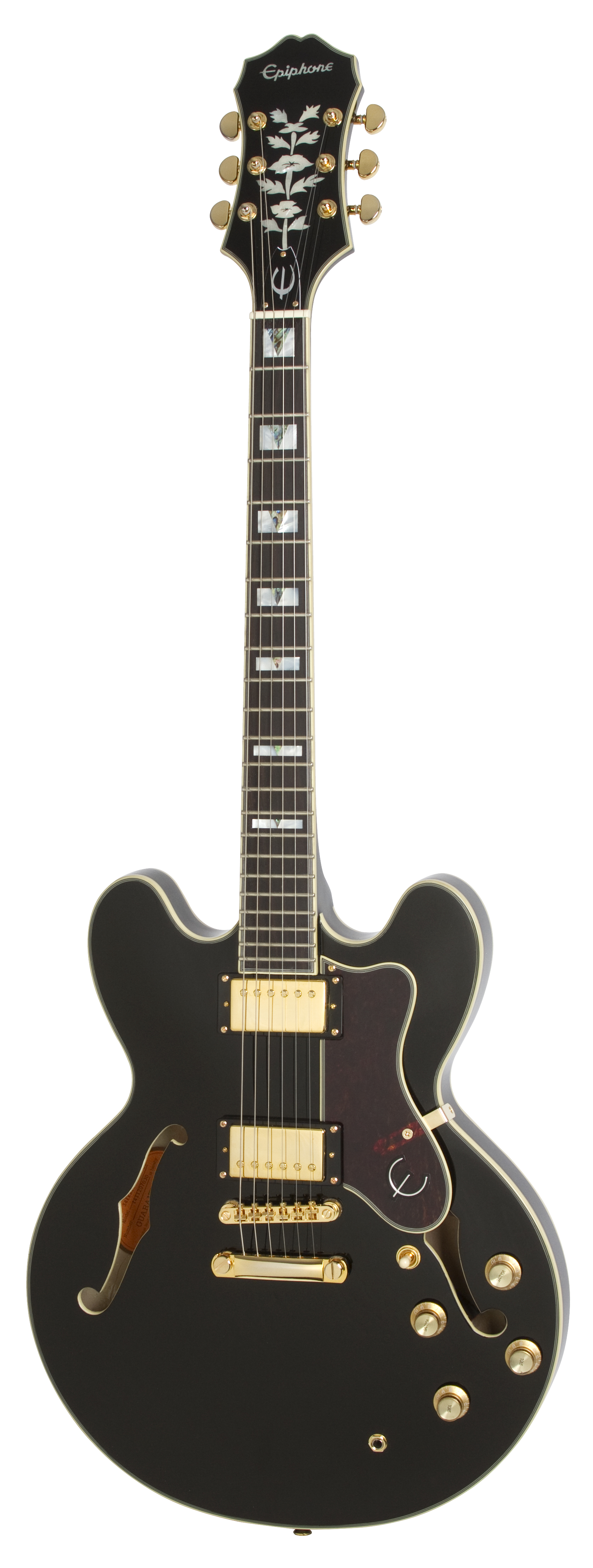 epiphone guitar semi hollow