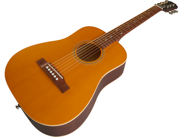 epiphone el nino travel