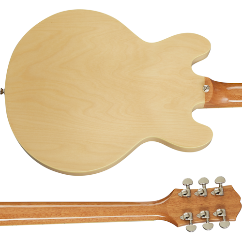 ES-339 Back and Neck