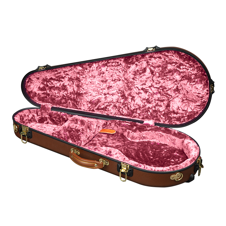 calton mandolin case