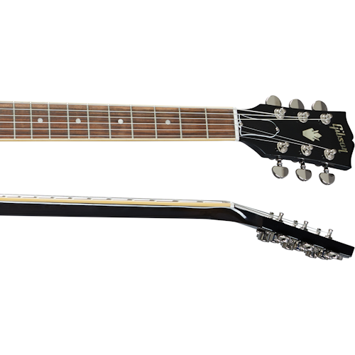 ES-339 Cuello y Lado